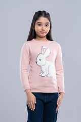 Girls' Sweater (2-4 Years)