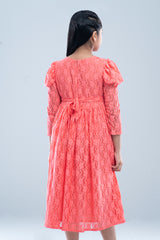 Girls Dress (2-4 Years)