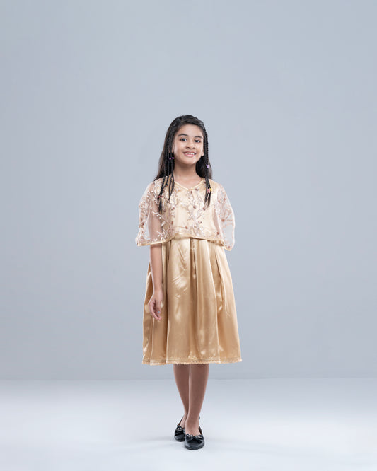 Princess Dress (2-4 Years)