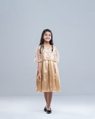 Princess Dress (2-4 Years)