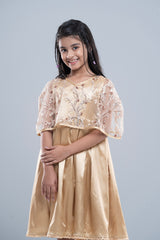 Princess Dress (6-8 Years)