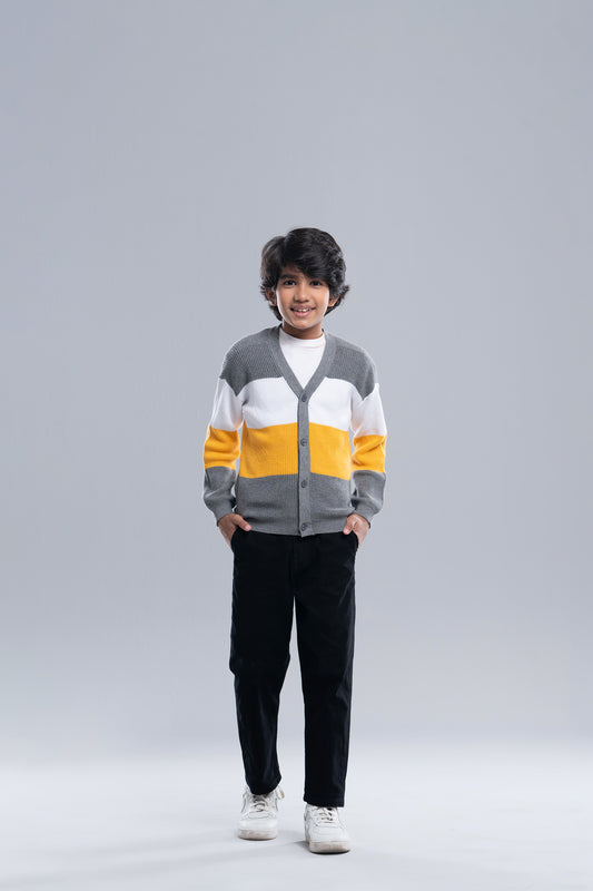Boys' Sweater (2-4 Years)