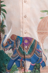 Prince Casual Shirt (2-4 Years)