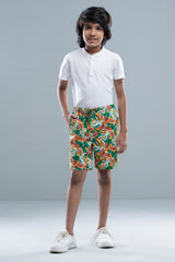 Boys Short Pant (2-4 Years)