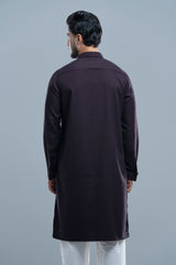 Regular Fit Embroidered Formal Panjabi