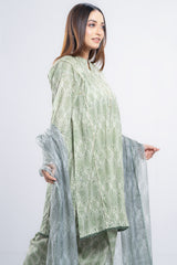 Relaxed Fit Semi-Formal Three-Piece Lawn with Organza Dupatta