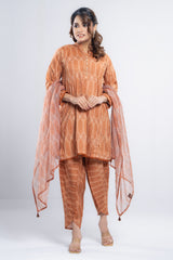 Relaxed Fit Semi-Formal Three-Piece Lawn with Organza Dupatta