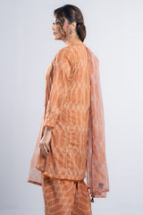 Relaxed Fit Semi-Formal Three-Piece Lawn with Organza Dupatta