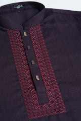 Regular Fit Embroidered Formal Panjabi