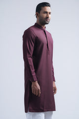 Regular Fit Embroidered Formal Panjabi