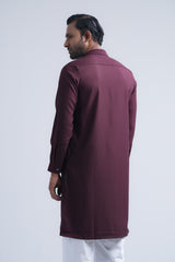 Regular Fit Embroidered Formal Panjabi