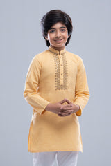 Boys Panjabi (8-15 Years)