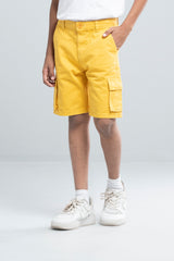 Boys Short Pant (2-4 Years)