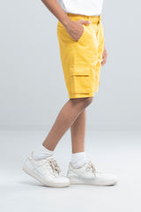 Boys Short Pant (2-4 Years)