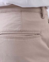 Regular Fit Dobby Chinos