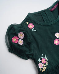 Princess Dress (2-4 Years)