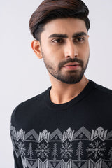 Regular Fit Full Sleeve Jacquard Sweater