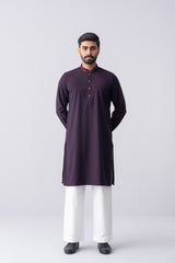 Regular Fit Embroidered Formal Panjabi