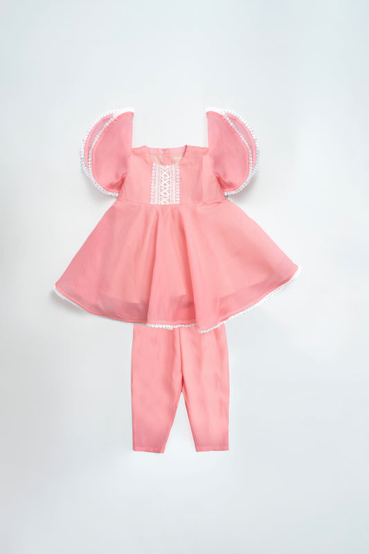 Newborn Girls' Ethnic Partywear Set (6-18 Months)