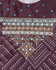 Smart Fit Embroidered Three-Piece Semi-Formal Ethnic Set with Organza Dupatta