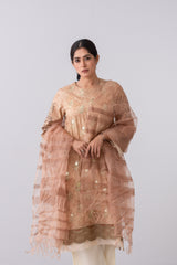 Smart Fit Embroidered Two-Piece Lawn with Silk Dupatta