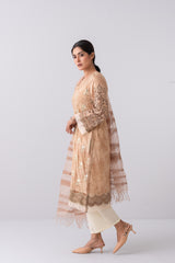 Smart Fit Embroidered Two-Piece Lawn with Silk Dupatta