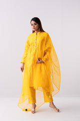 Ready-to-Wear Three-Piece Formal Ethnic Set with Organza Dupatta