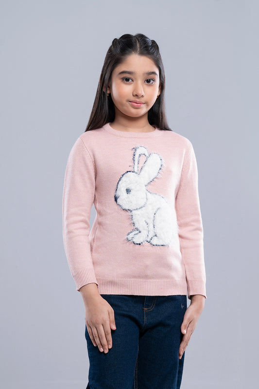 Girls Sweater (6-8 Years)