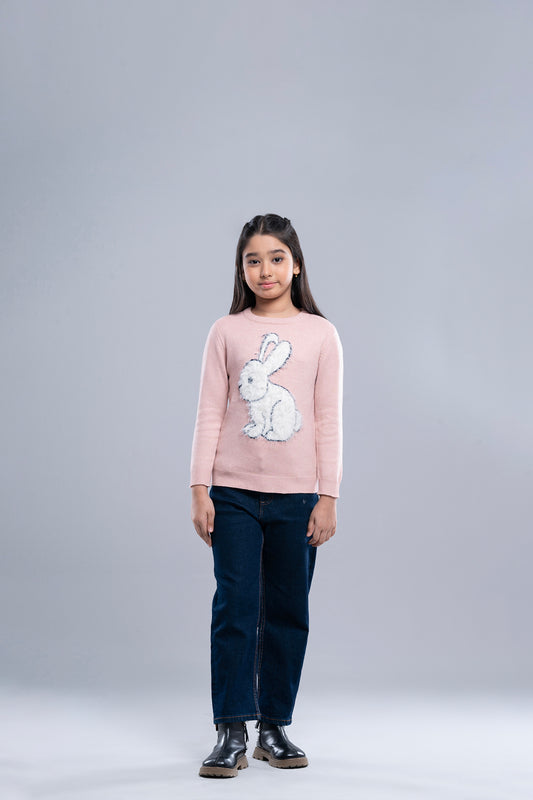 Girls' Sweater (6-8 Years)