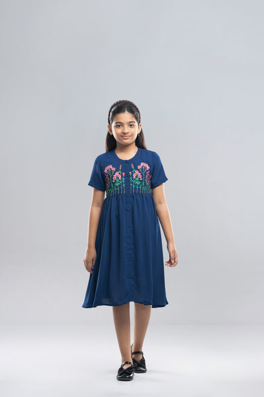 Girls Dress (2-4 Years)