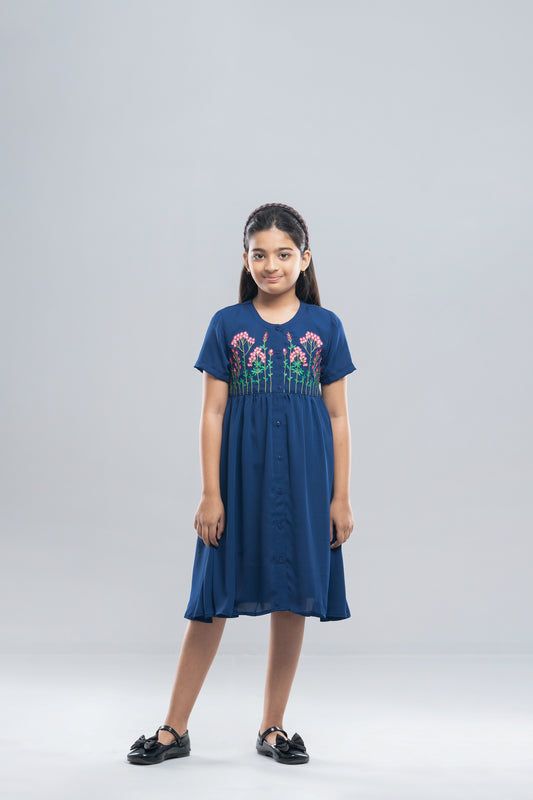 Girls Dress (2-4 Years)