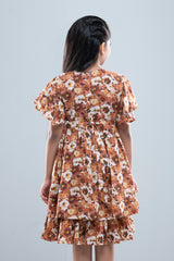 Girls Dress (2-4 Years)