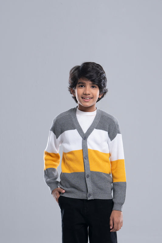 Boys' Sweater (2-4 Years)
