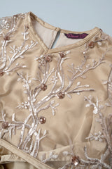 Princess Dress (2-4 Years)