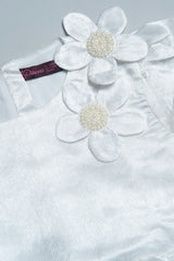 Princess Dress (2-4 Years)