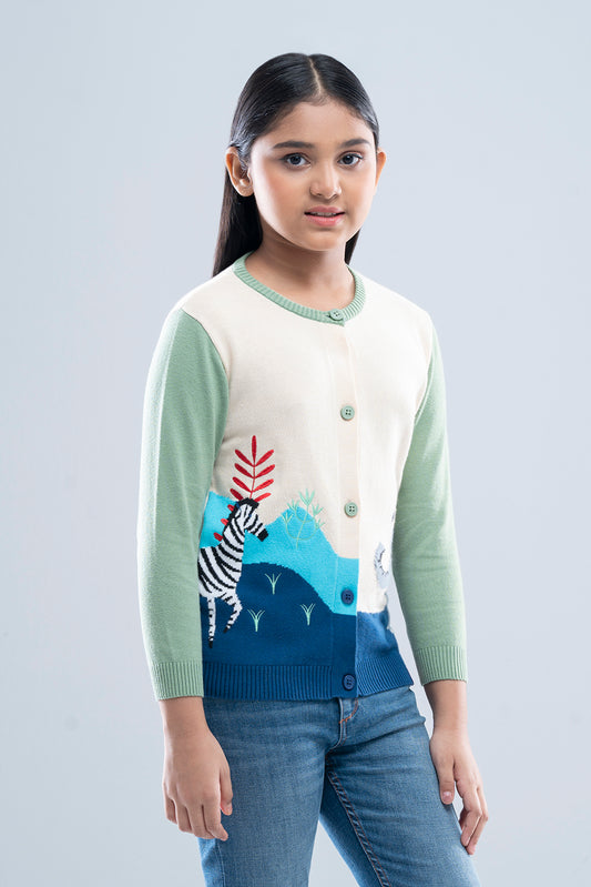 Girls Sweater (2-4 Years)