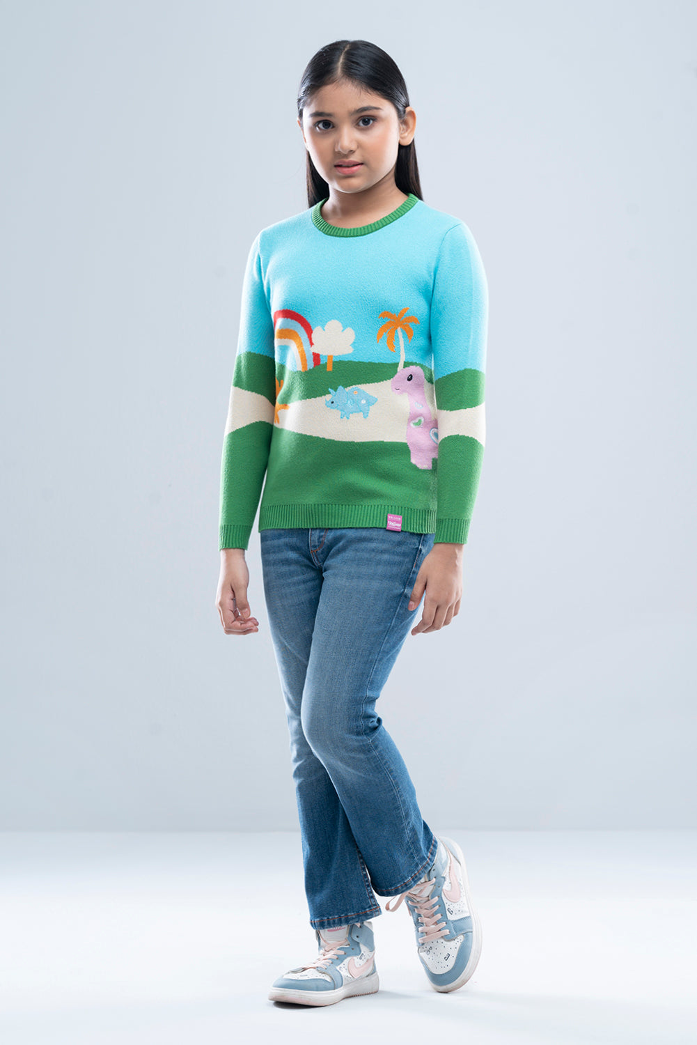 Girls Sweater (2-4 Years)
