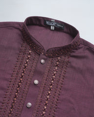 Regular Fit Embroidered Formal Panjabi