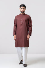 Regular Fit Embroidered Semi-Formal Panjabi
