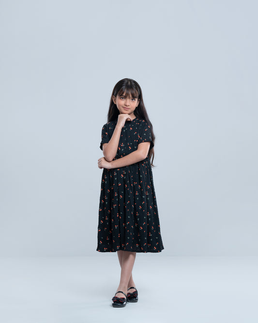 Girls' Dress (2-4 Years)