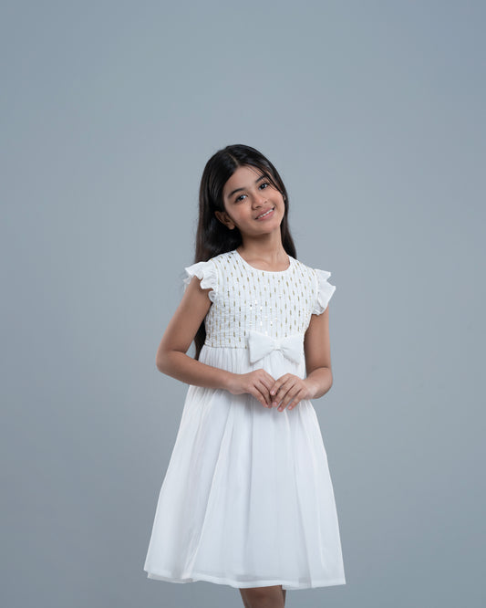 Princess Embroidered Dress (2-4 Years)