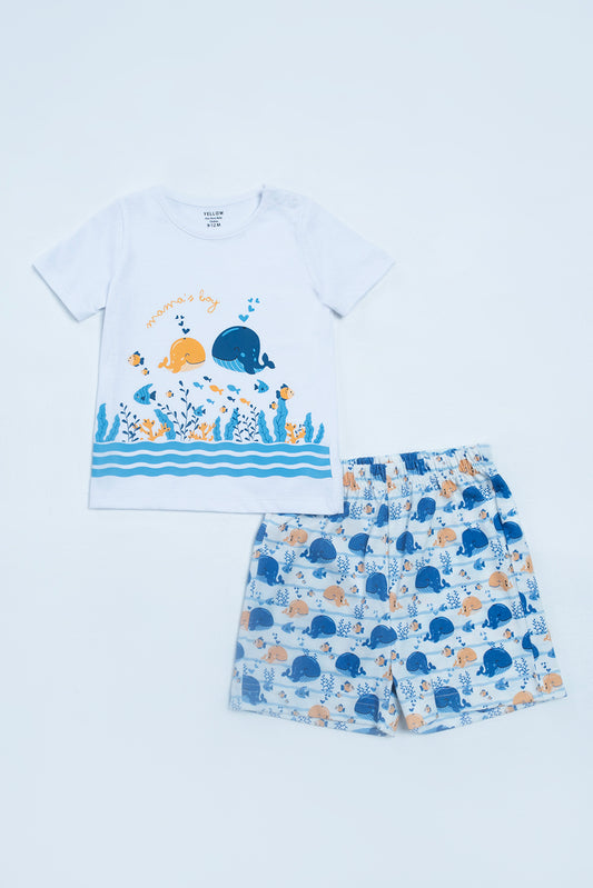 New Born Boys Set (6-18 Months)