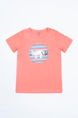 New Born Boys T-Shirt (6-18 Months)