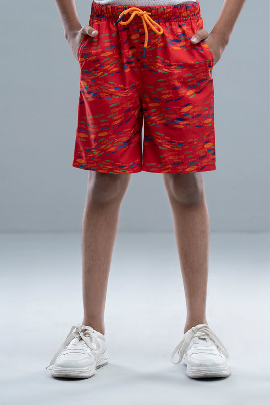 Boys Short Pant (2-4 Years)