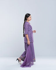 Princess Ethnic Partywear Set (10-14 Years)