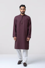 Regular Fit Embroidered Semi-Formal Panjabi