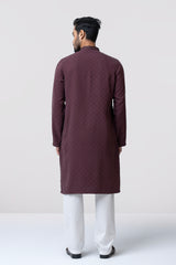 Regular Fit Embroidered Semi-Formal Panjabi