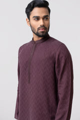 Regular Fit Embroidered Semi-Formal Panjabi