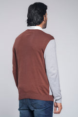 Regular Fit Cotton Yarn V-Neck Sweater