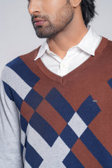 Regular Fit Cotton Yarn V-Neck Sweater